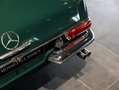 Mercedes-Benz SL 230 W113 Roadster Pagode Verde - thumbnail 23