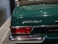Mercedes-Benz SL 230 W113 Roadster Pagode Verde - thumbnail 25
