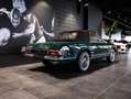 Mercedes-Benz SL 230 W113 Roadster Pagode Verde - thumbnail 5