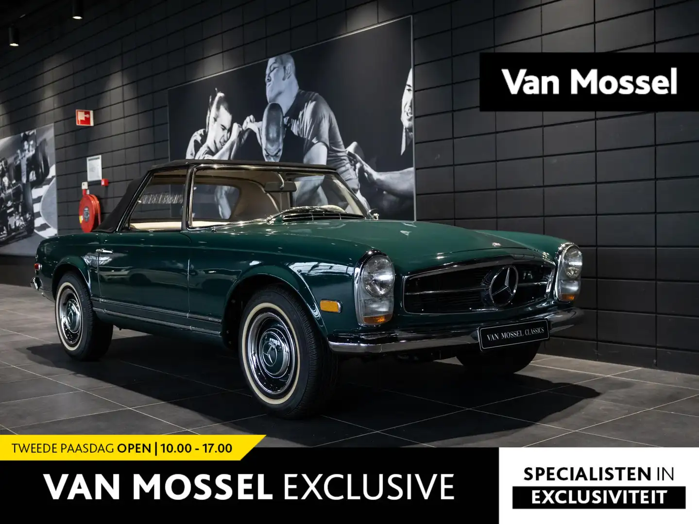 Mercedes-Benz SL 230 W113 Roadster Pagode Verde - 1