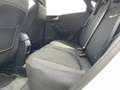Ford Puma 1.0 EcoBoost Titanium 125 Blanco - thumbnail 15
