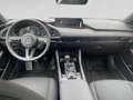 Mazda 3 Mazda3 e-Skyactiv-G140 Homura Blau - thumbnail 18