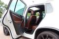Volkswagen Tiguan 2.0 TDI R-LINE 4Motion Panorama Weiß - thumbnail 14
