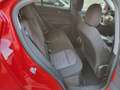 Alfa Romeo Stelvio Stelvio 2.2 t Business 160cv NO OBB. FINANZIAMENTO Rosso - thumbnail 8