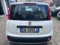 Fiat Panda 1.2 Lounge 69CV*EURO5*NEOPATENTATI - thumbnail 5