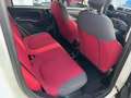 Fiat Panda 1.2 Lounge 69CV*EURO5*NEOPATENTATI - thumbnail 12