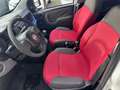 Fiat Panda 1.2 Lounge 69CV*EURO5*NEOPATENTATI - thumbnail 7