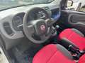 Fiat Panda 1.2 Lounge 69CV*EURO5*NEOPATENTATI - thumbnail 8