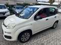 Fiat Panda 1.2 Lounge 69CV*EURO5*NEOPATENTATI - thumbnail 1