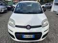 Fiat Panda 1.2 Lounge 69CV*EURO5*NEOPATENTATI - thumbnail 2