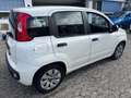 Fiat Panda 1.2 Lounge 69CV*EURO5*NEOPATENTATI - thumbnail 4