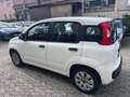 Fiat Panda 1.2 Lounge 69CV*EURO5*NEOPATENTATI - thumbnail 6