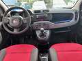 Fiat Panda 1.2 Lounge 69CV*EURO5*NEOPATENTATI - thumbnail 13