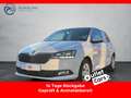 Skoda Fabia Active 1.0 TSI KLIMA+EINPARKHILFE+WENIG-KM Weiß - thumbnail 1