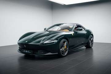 Spider CARBON/SURROUND/HISTORICAL COLOUR