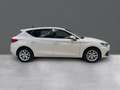 SEAT Leon 1.0 eTSI S&S Style DSG-7 110 Blanc - thumbnail 20