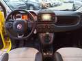 Fiat Panda 1.0 FireFly S&S Hybrid CROSS Giallo - thumbnail 14