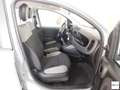 Fiat Panda 1.0 FireFly S&S Hybrid Grigio - thumbnail 11