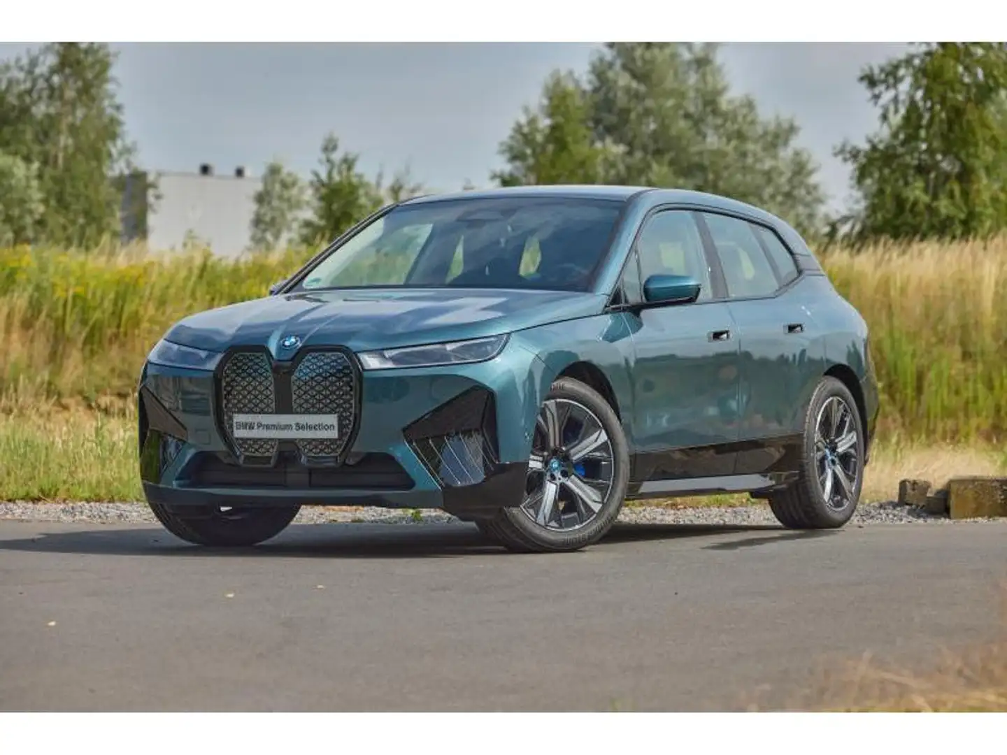 BMW iX iX xDrive50 Blauw - 1