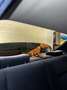 Mercedes-Benz C 240 Silber - thumbnail 8
