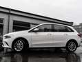 Mercedes-Benz B 250 e Navi/MBUX/Park-Assist/Sitzheizung/16' Білий - thumbnail 20
