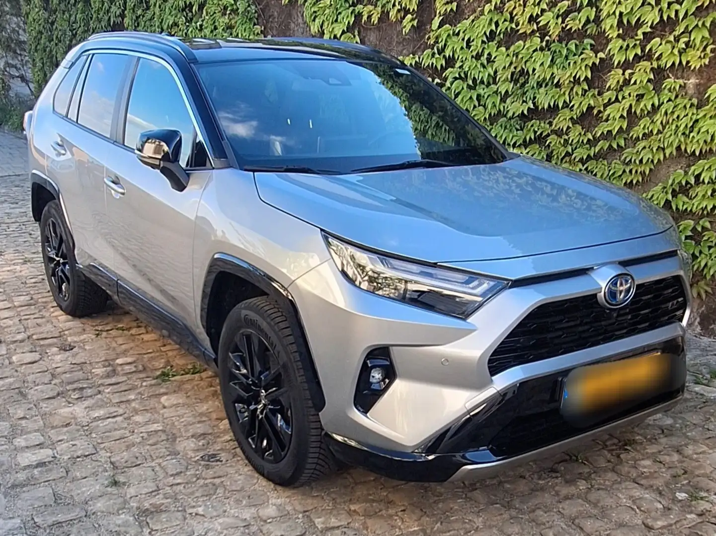 Toyota RAV 4 2.5 4x2 Hybrid Style Selection - 2