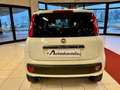 Fiat Panda 0.9 TwinAir Turbo S&S 4x4 Pop Van 2 posti Weiß - thumbnail 7