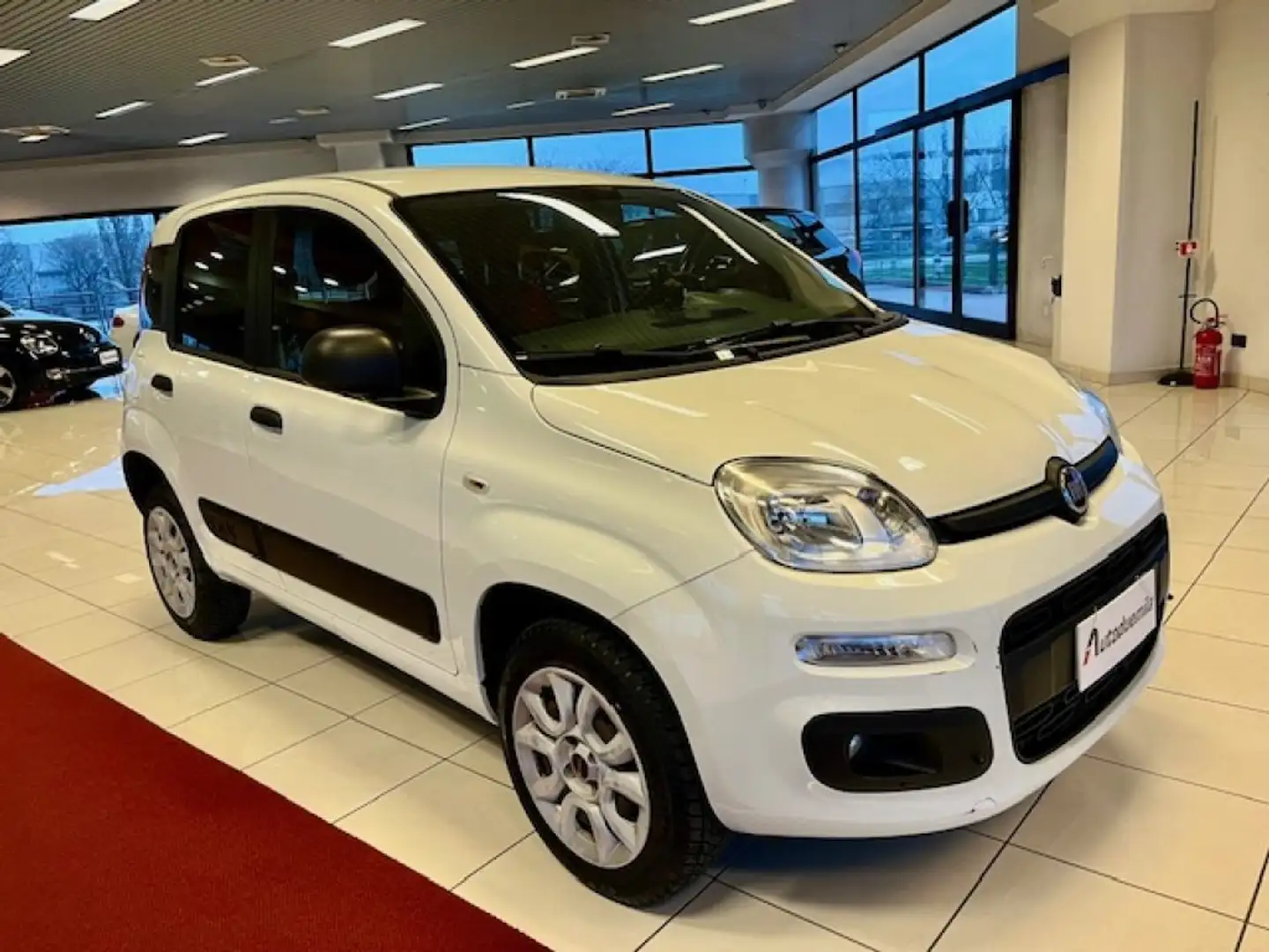 Fiat Panda 0.9 TwinAir Turbo S&S 4x4 Pop Van 2 posti Weiß - 1