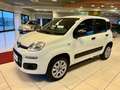 Fiat Panda 0.9 TwinAir Turbo S&S 4x4 Pop Van 2 posti Weiß - thumbnail 6