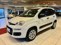 Fiat Panda 0.9 TwinAir Turbo S&S 4x4 Pop Van 2 posti Weiß - thumbnail 2