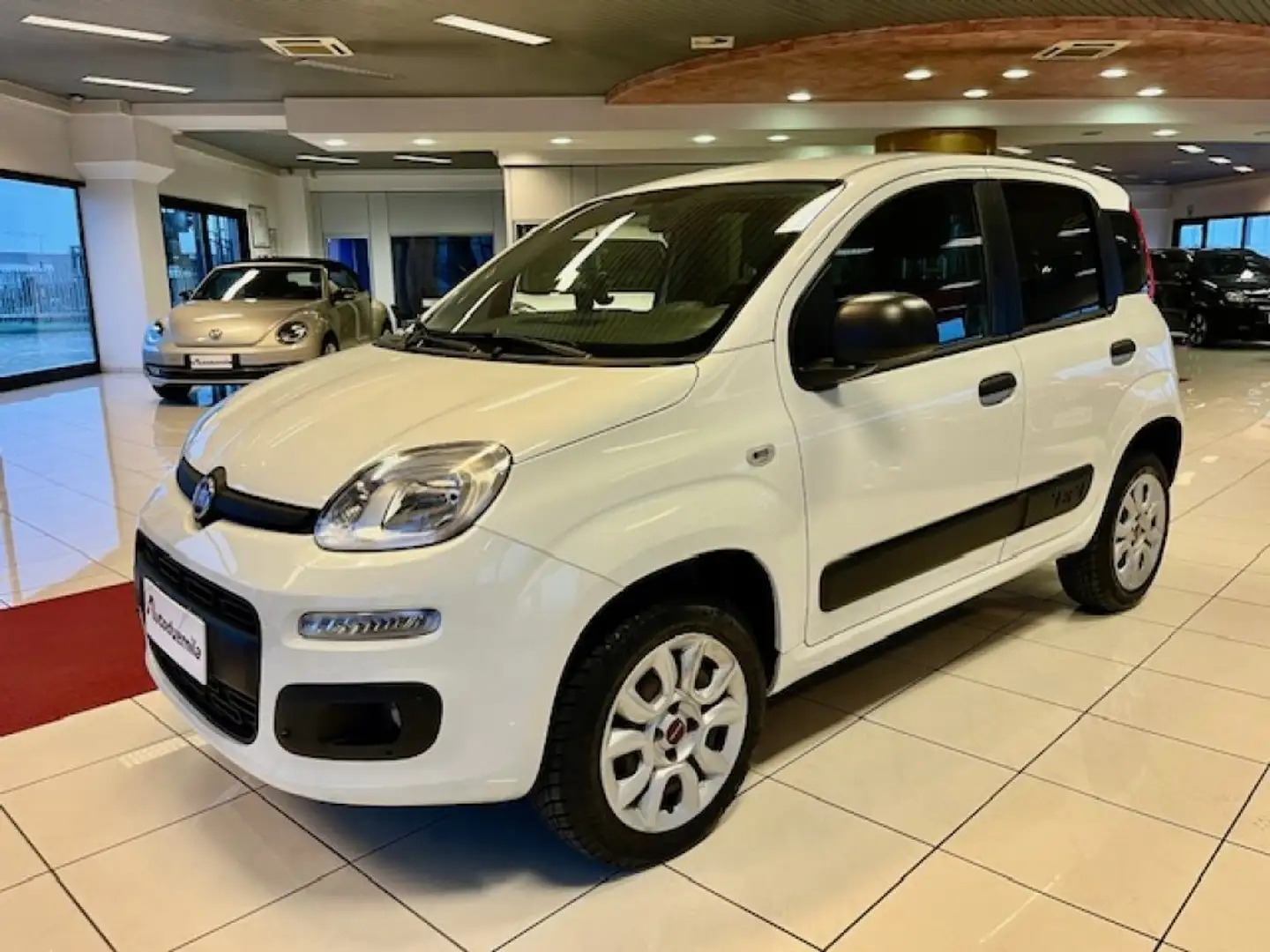 Fiat Panda 0.9 TwinAir Turbo S&S 4x4 Pop Van 2 posti Weiß - 2