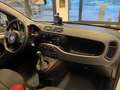 Fiat Panda 0.9 TwinAir Turbo S&S 4x4 Pop Van 2 posti Weiß - thumbnail 12