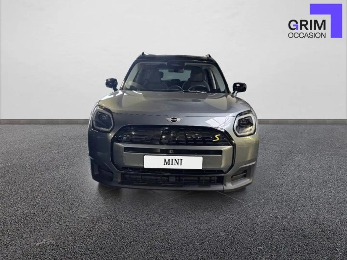 MINI Countryman SE SE 313ch Classic ALL4 Vert - 2