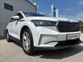 Skoda Enyaq 80 Weiß - thumbnail 21