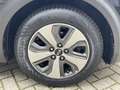 Kia Niro 1.6 GDi Hybrid DynamicLine Allweatherbanden | Trek Negro - thumbnail 5