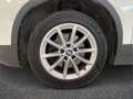 BMW X2 sdrive18d Advantage auto Bianco - thumbnail 6