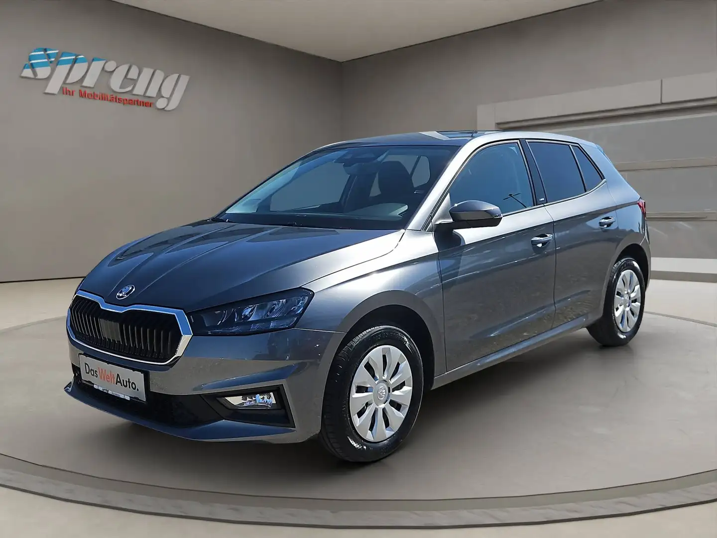 Skoda Fabia Essence - NEUWAGEN nur € 15.999,-* Monatlich € 87,- Grau - 1