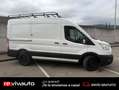 Ford Transit 350 L2H2 van ambiente delantera Blanco - thumbnail 22