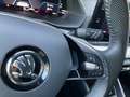 Skoda Octavia Combi First Edition 1.5 TSI Sportpaket StandHZG Na Schwarz - thumbnail 22