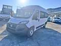 Fiat Ducato 9 posti per il trasporto persone con disabilità Bianco - thumbnail 8