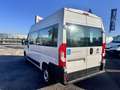 Fiat Ducato 9 posti per il trasporto persone con disabilità Bianco - thumbnail 4
