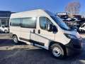 Fiat Ducato 9 posti per il trasporto persone con disabilità Bianco - thumbnail 7
