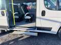 Fiat Ducato 9 posti per il trasporto persone con disabilità Bianco - thumbnail 5