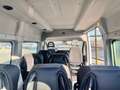 Fiat Ducato 9 posti per il trasporto persone con disabilità Bianco - thumbnail 12