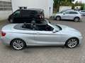 BMW 220 BMW 220d Aut Cabrio Luxury Navi Xen Leder Kamera Argent - thumbnail 9