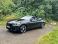 BMW 220 2er Cabrio 220i Cabrio Aut. Sport Line Negru - thumbnail 3