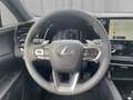 Lexus RX 450h Business Line Plug-In Hybrid 309 PS Allrad Grau - thumbnail 9