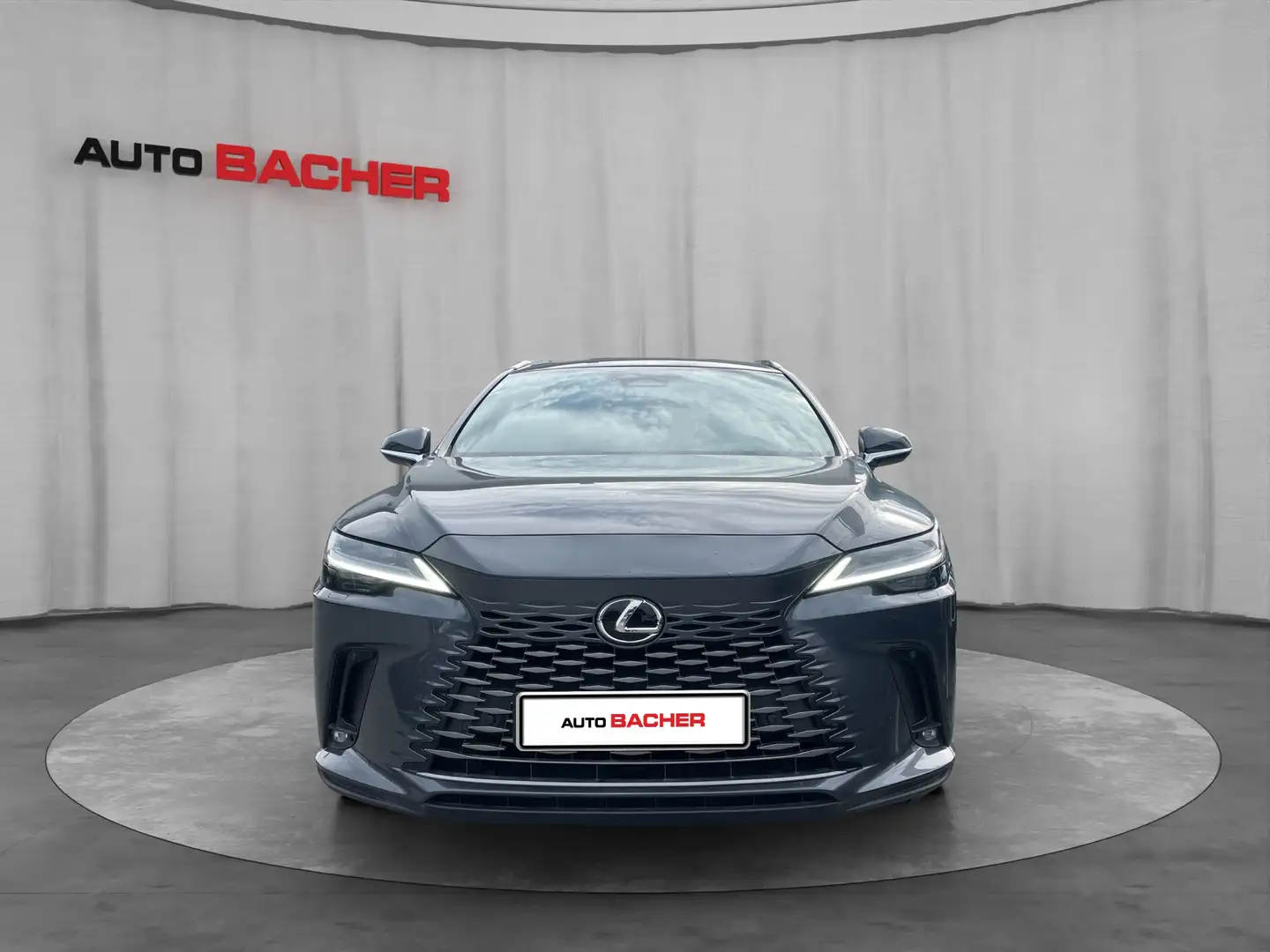 Lexus RX 450h Business Line Plug-In Hybrid 309 PS Allrad Grau - 2