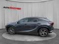 Lexus RX 450h Business Line Plug-In Hybrid 309 PS Allrad Grau - thumbnail 3