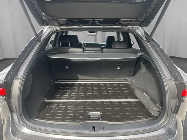 Lexus RX 450h Business Line Plug-In Hybrid 309 PS Allrad Ansicht 5